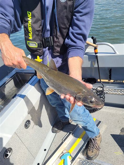 70,000+ Free Person Fishing & Fishing Images .